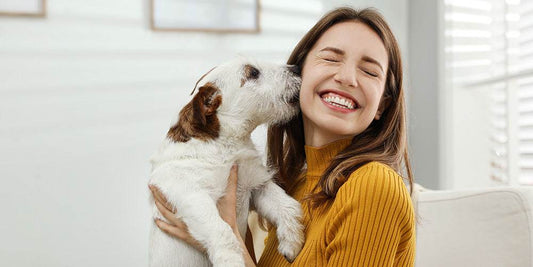 A importância da alimentação nos problemas de pele e pelos do nosso cão