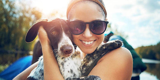 Os animais se tornarão membros da família em 2022.