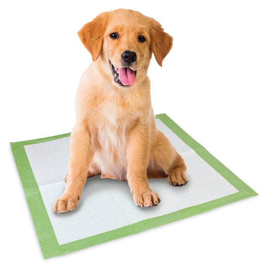 Biodegradable pads - Arquivet