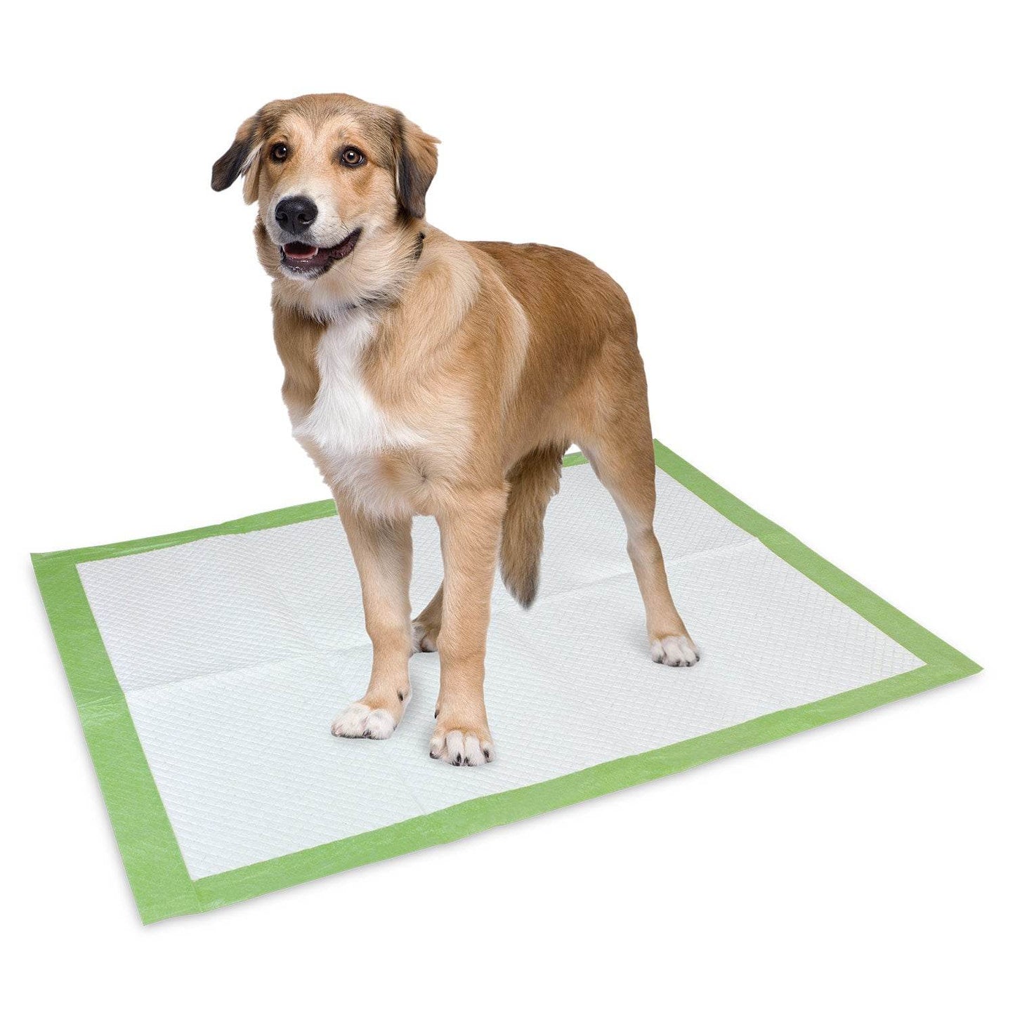 Pads biodegradables - Arquivet