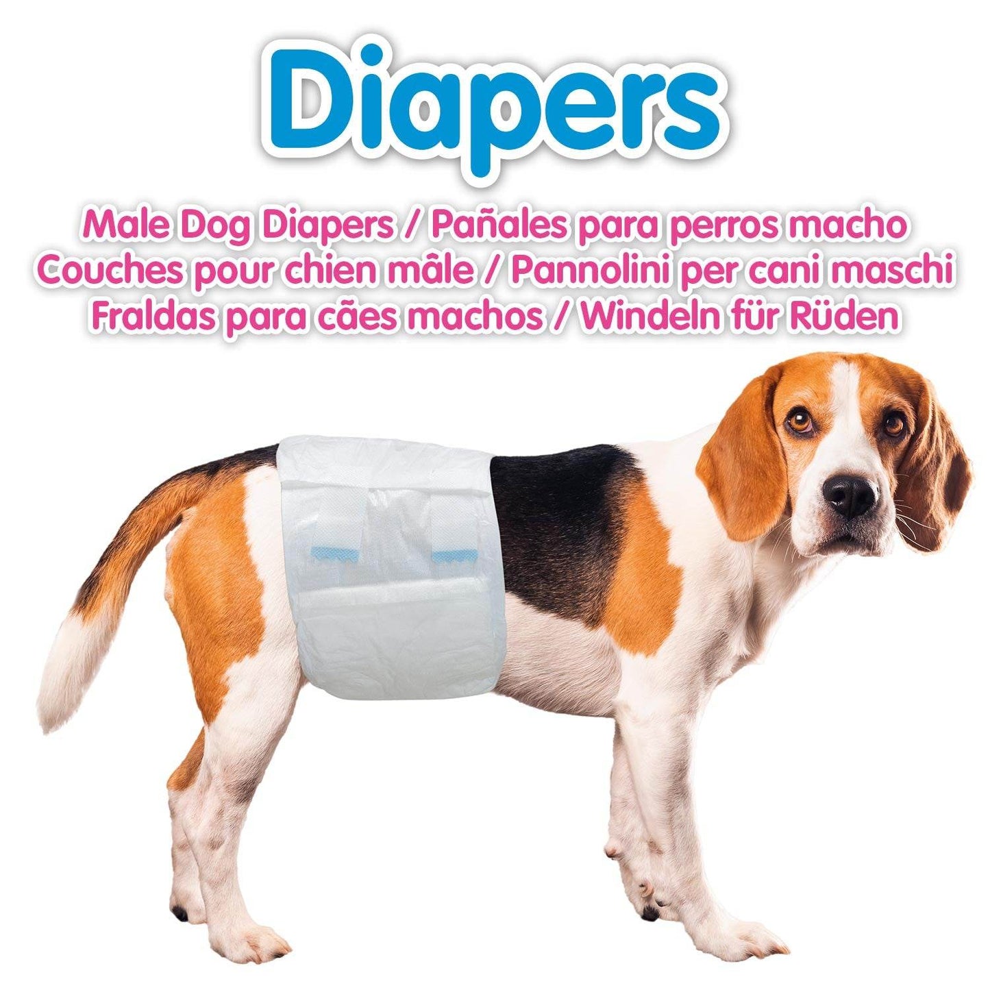 Pañales para perro macho - Arquivet