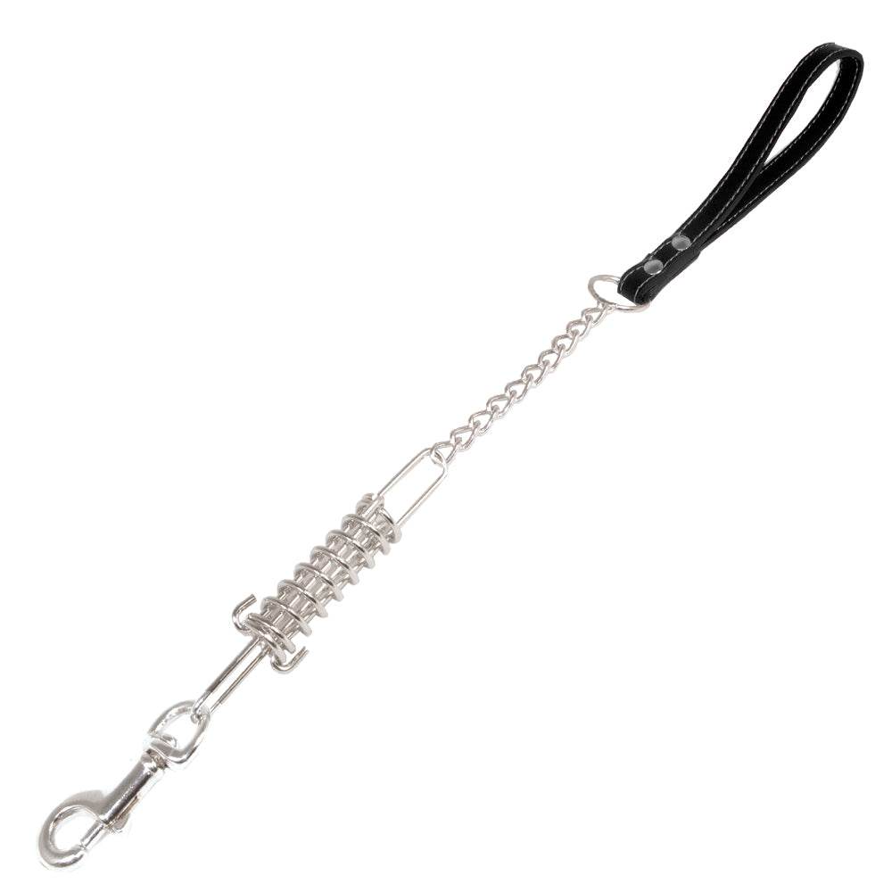 Metal strap with spring - Arquivet