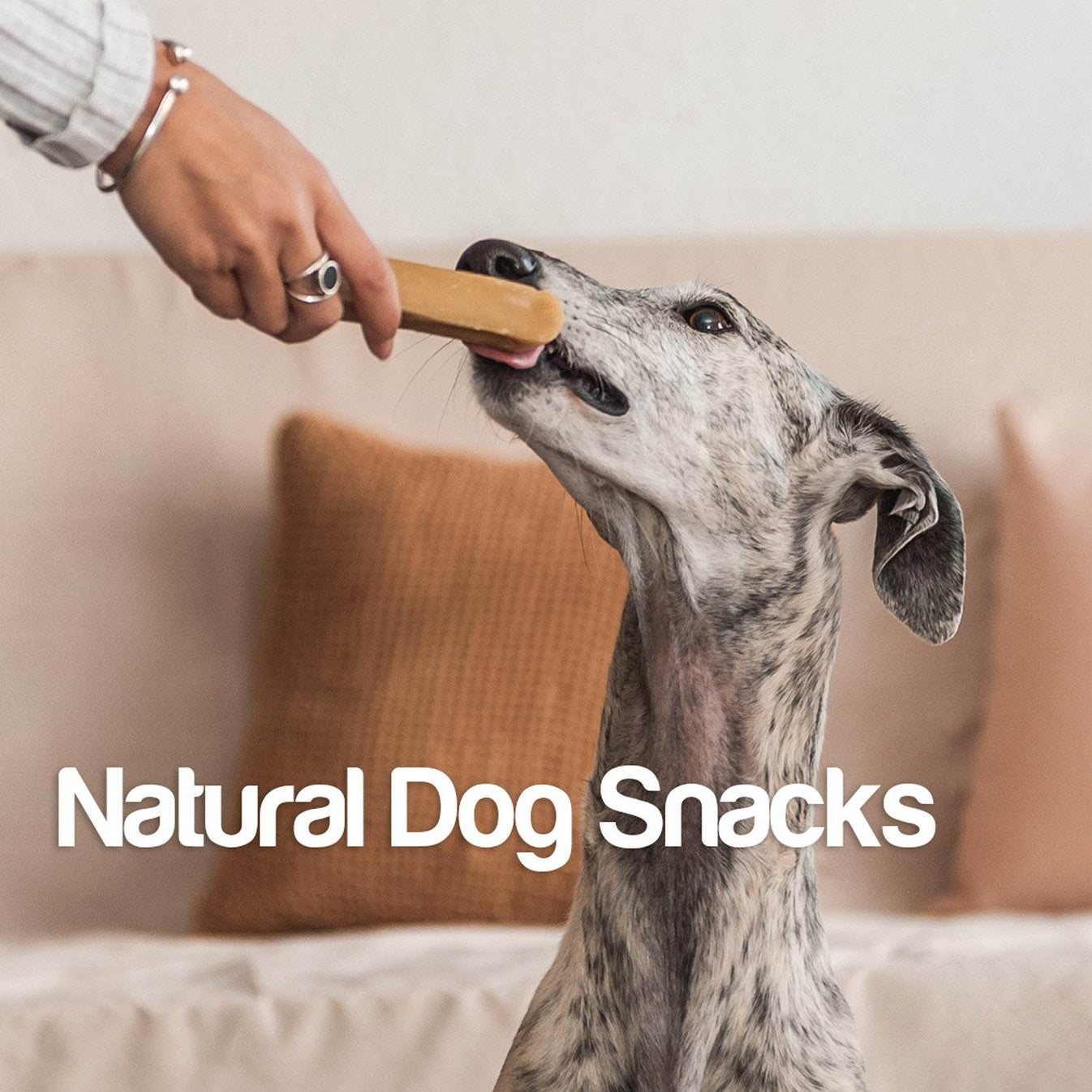 Pollo con patata dulce - Arquivet