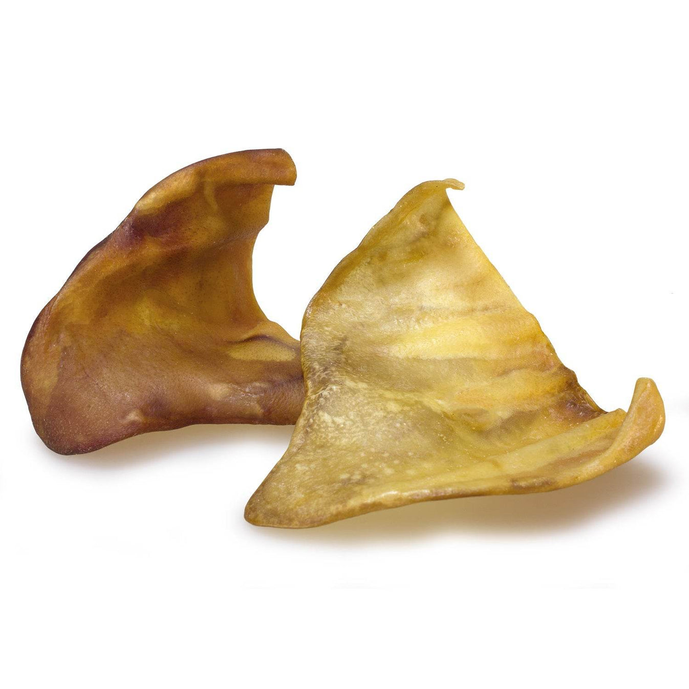 Oreja de cerdo - Arquivet