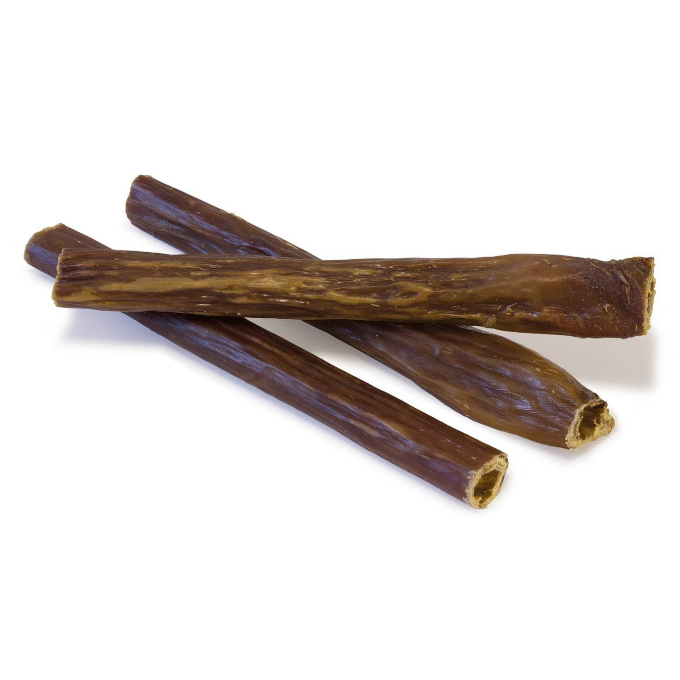 Nervio de toro - Arquivet