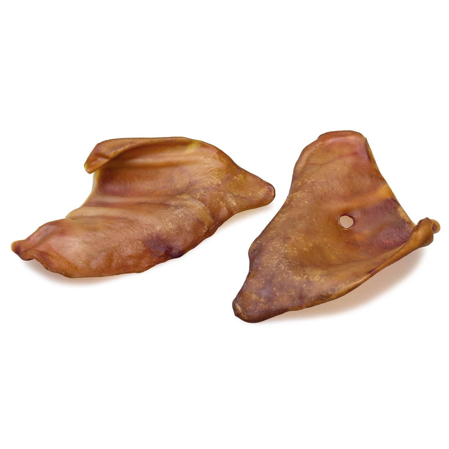 Oreja de cerdo - Arquivet