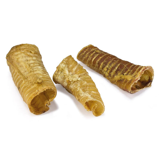 Trachea del vitello - Arquivet
