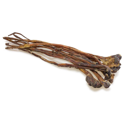Buffalo nerve 70-90 cm (bag of 10 units) - Arquivet