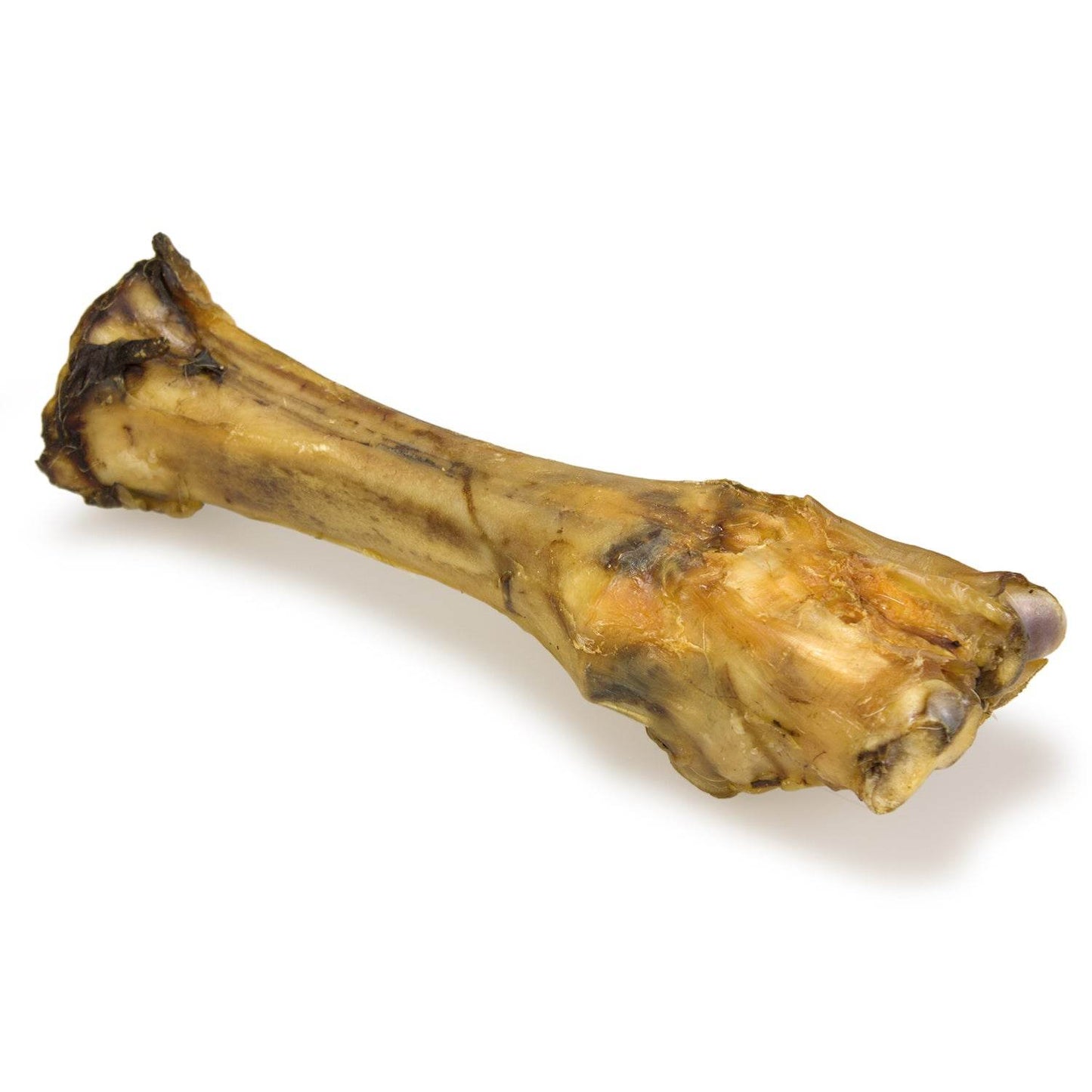 Hueso de ternera - Arquivet