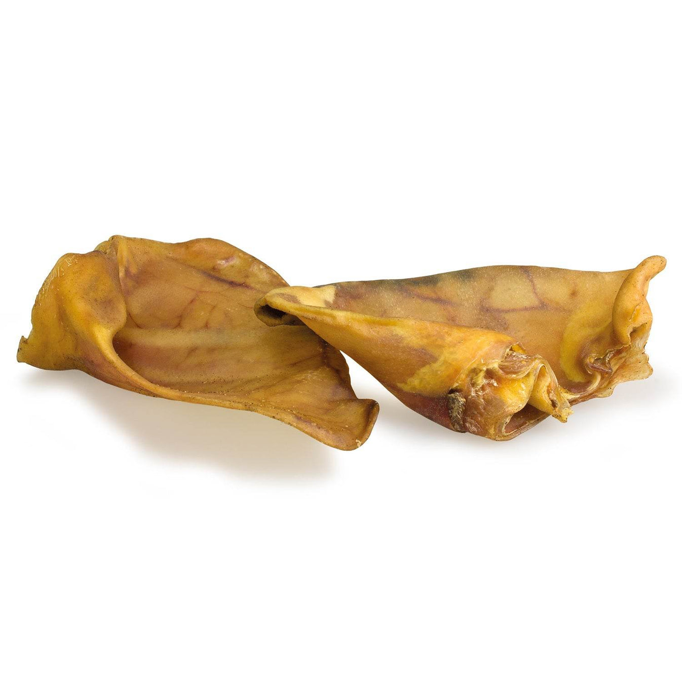 Oreja de cerdo - Arquivet