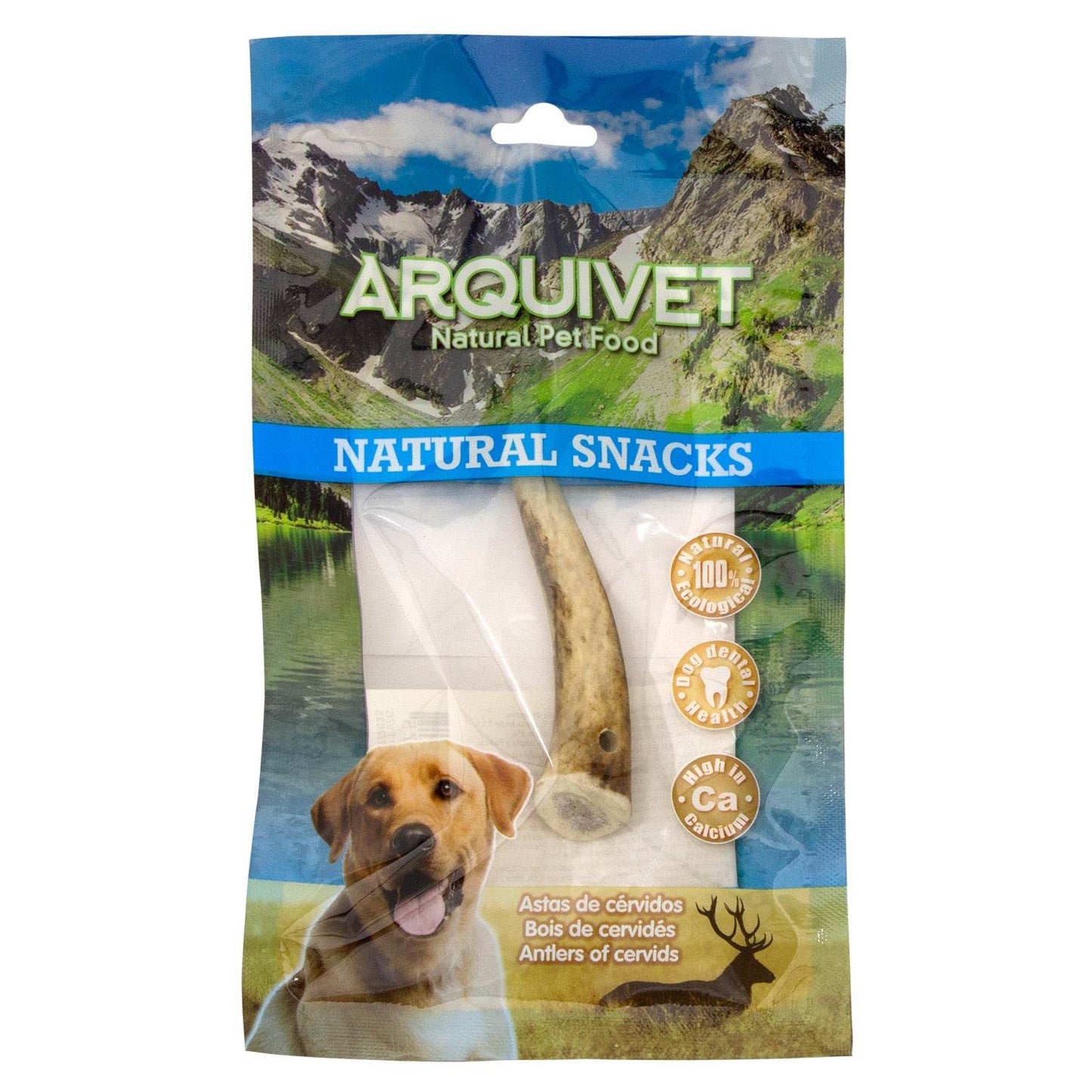 Asta de ciervo - Arquivet