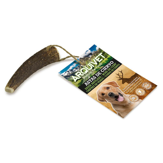 Deer antler - Arquivet