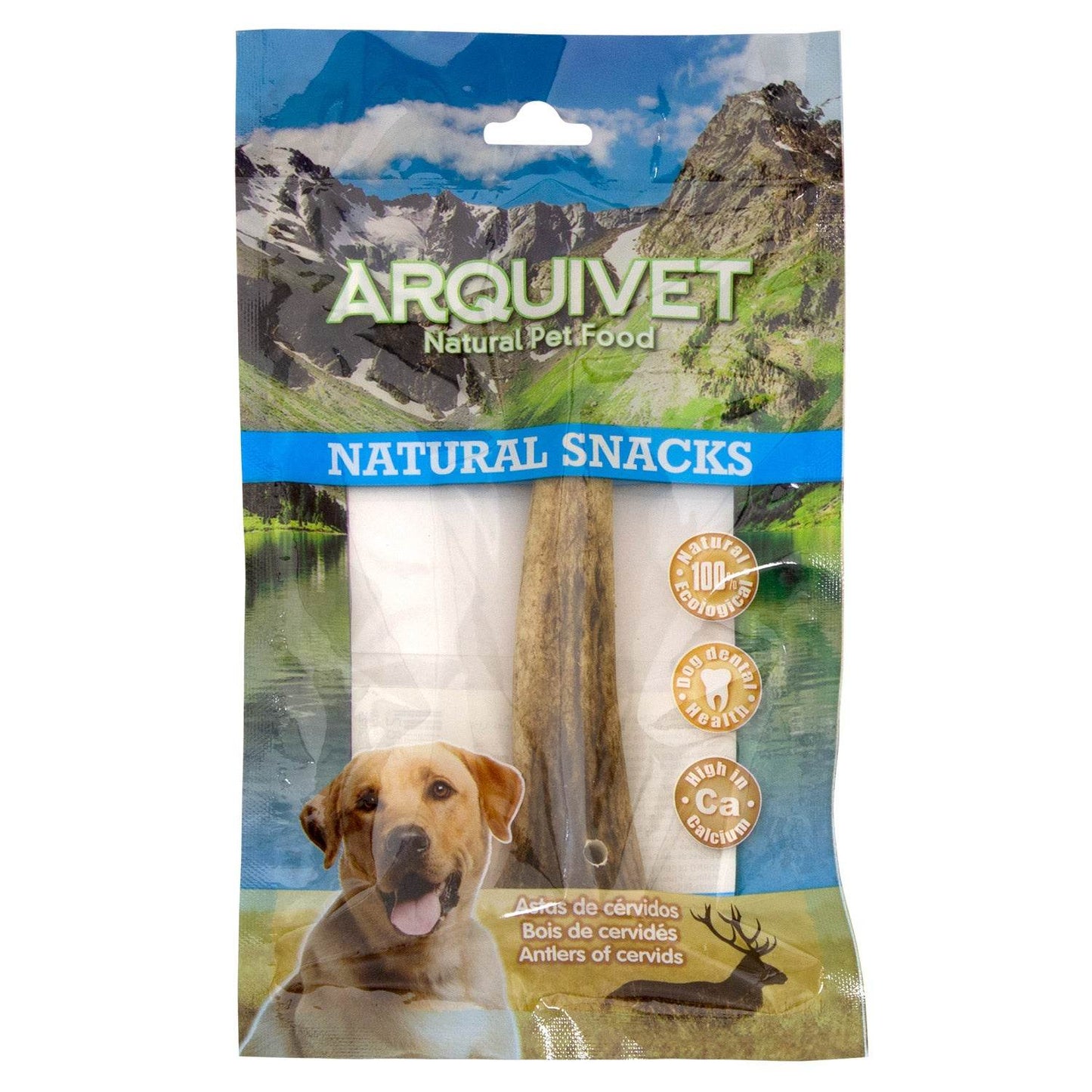 Asta de ciervo - Arquivet