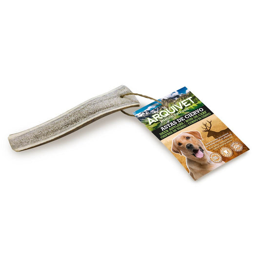 Half deer antler - Arquivet