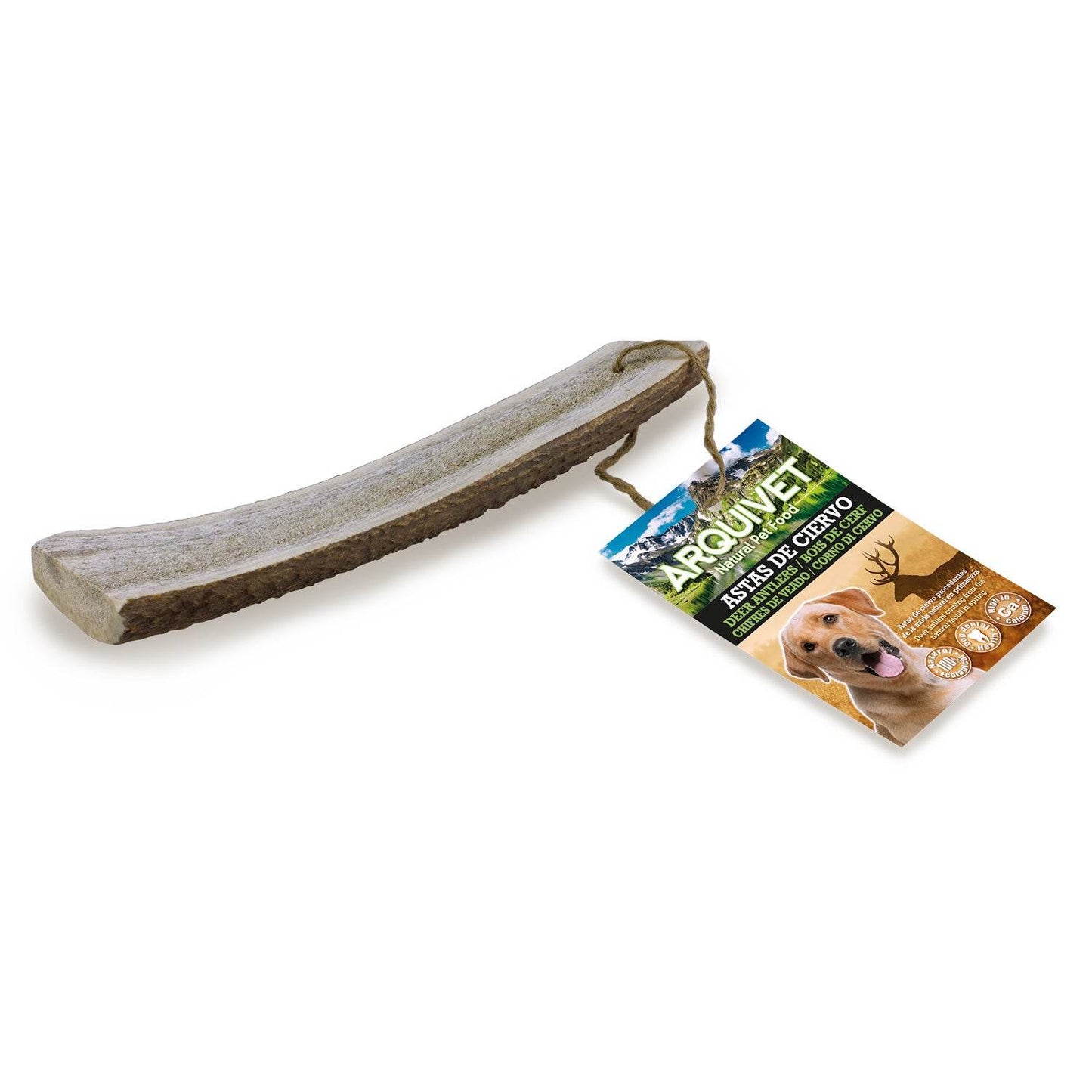 Half deer antler - Arquivet