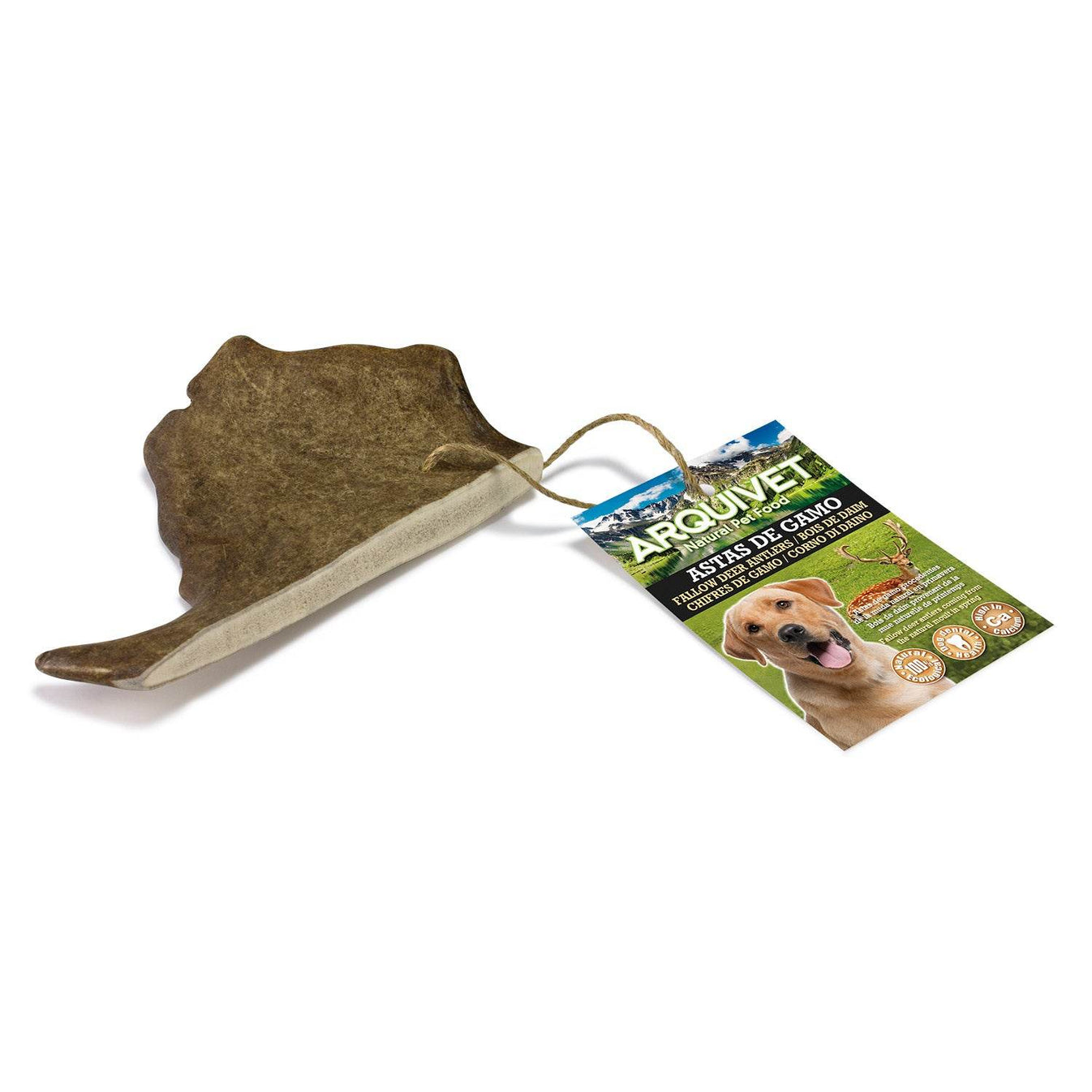 Bois de daim - Arquivet