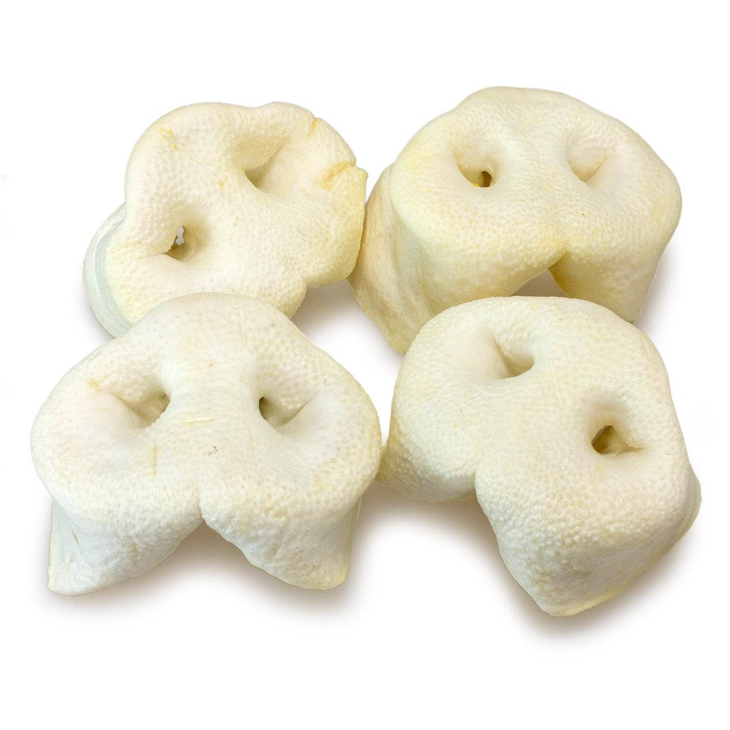 Pork snout (bag of 20 units) - Arquivet