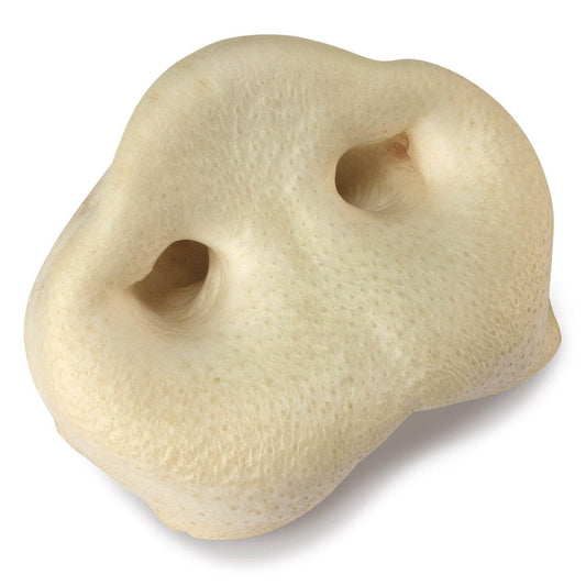 Pork snout (bag of 20 units) - Arquivet