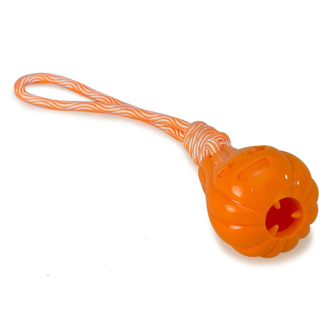 Calabaza con cuerda - Arquivet