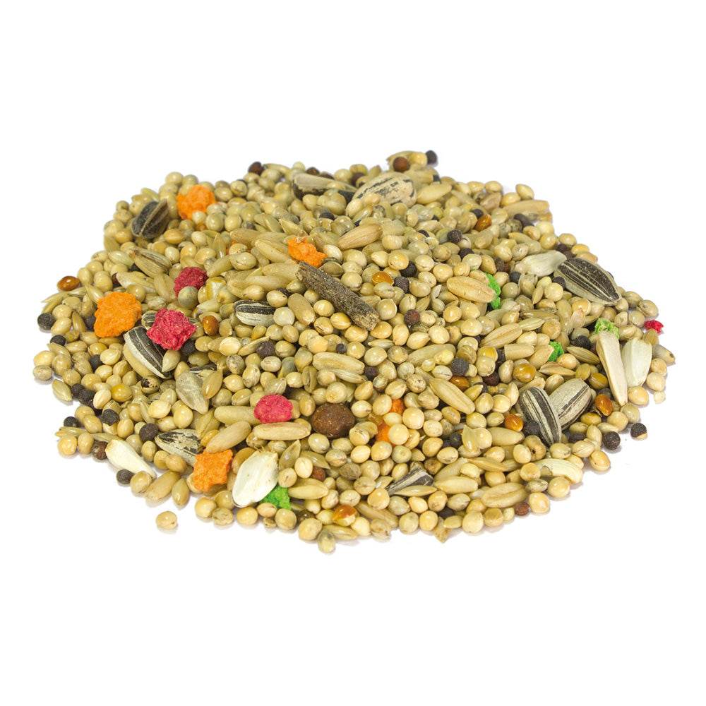 Mixtura cotorras y agapornis 1 kg - Arquivet