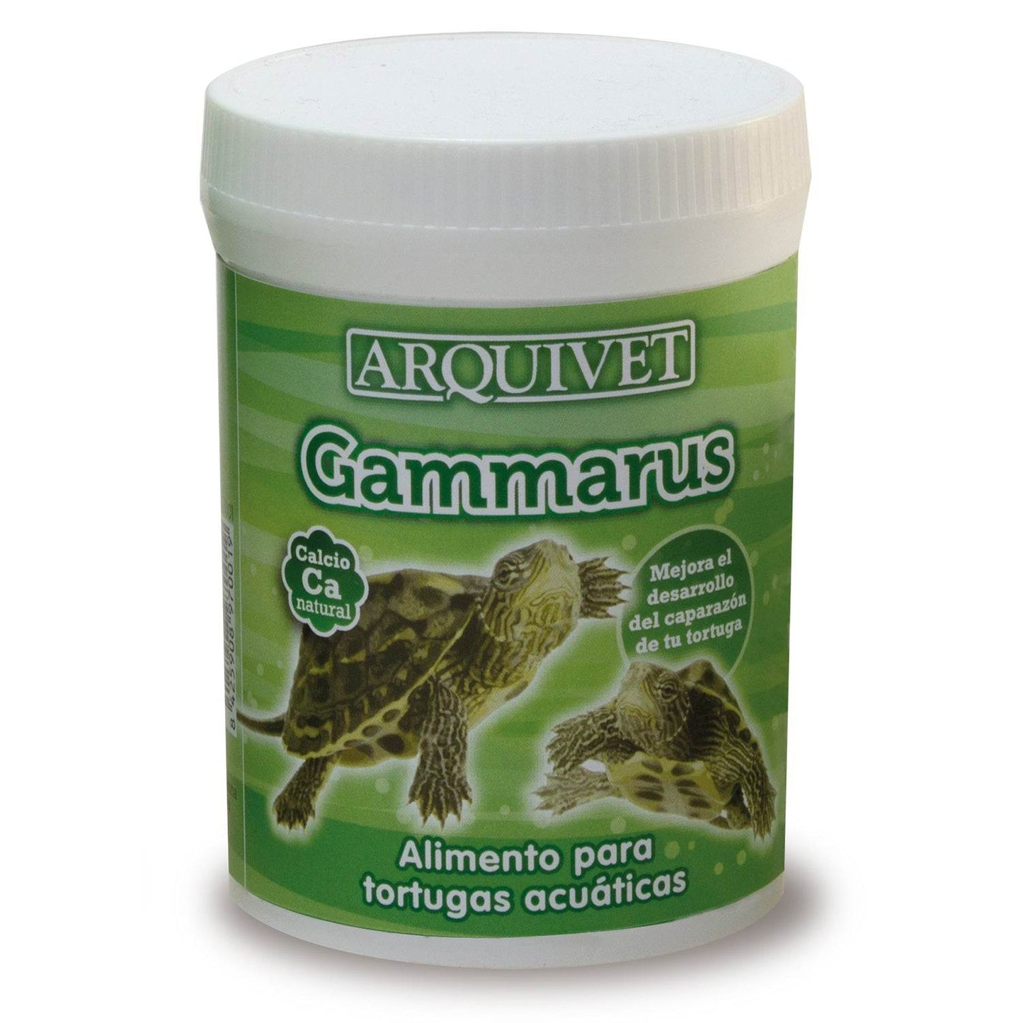 Gammarus - Arquivet