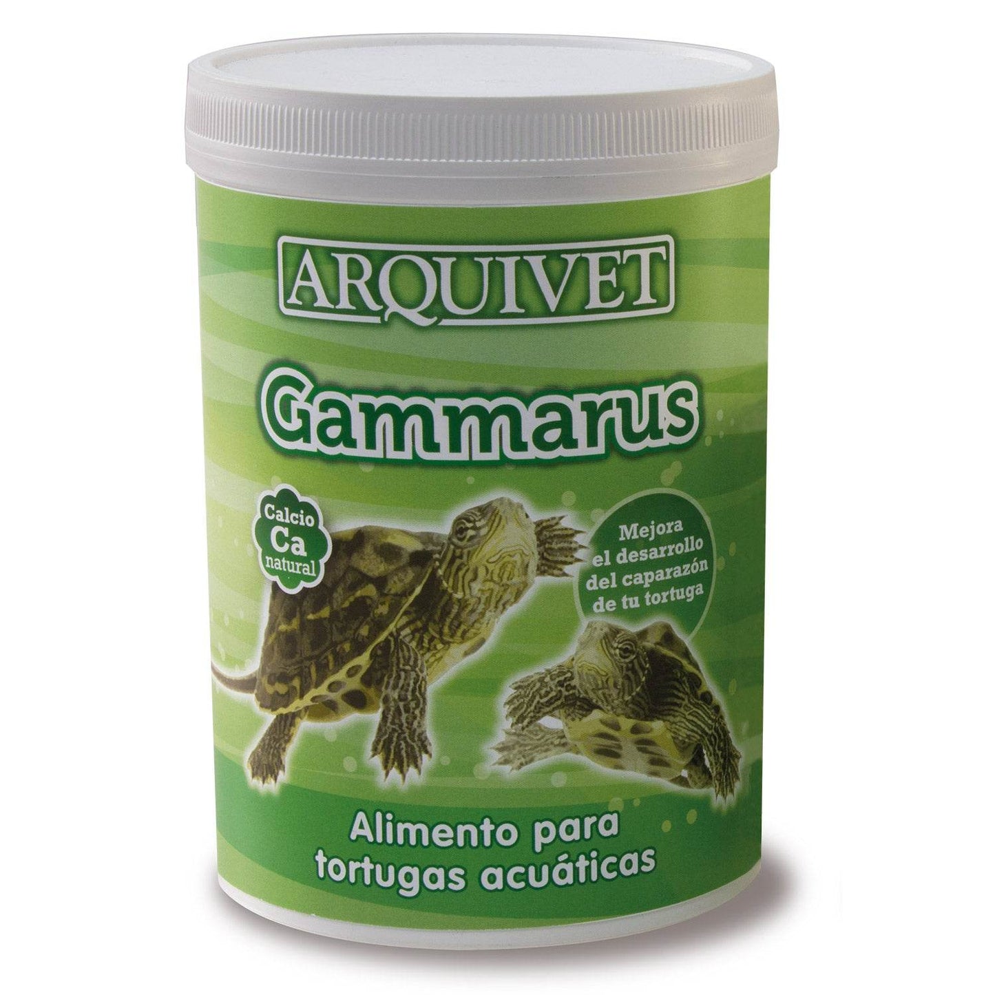 Gammarus - Arquivet