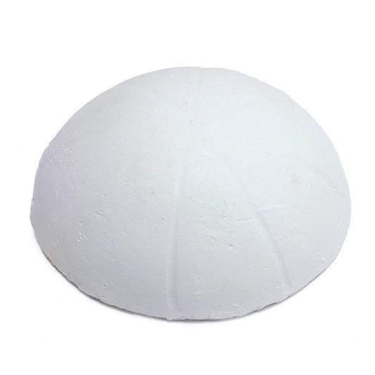 Nourriture pour poissons pour les fêtes 25 g / boîte de 24 unités - Arquivet