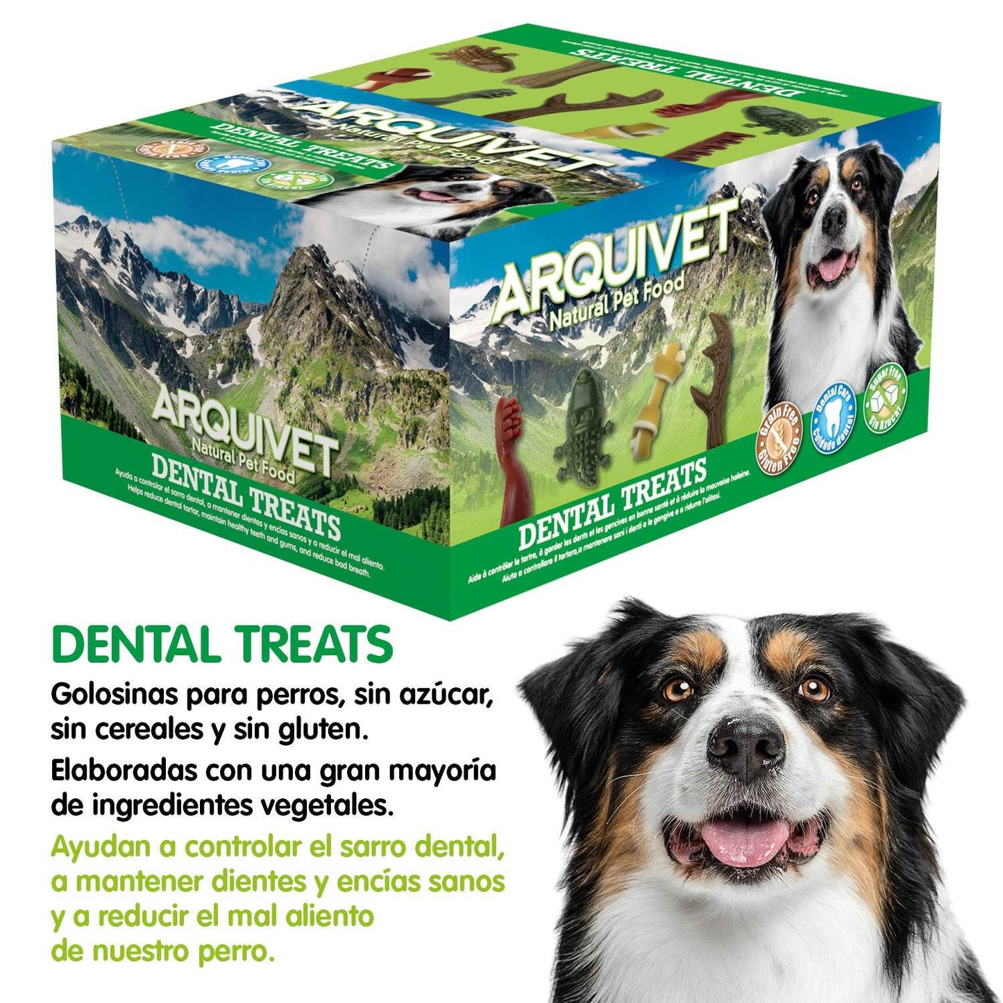DENTAL TREATS Knotted Bone 10cm/45g (Expo 50 un.) - Arquivet
