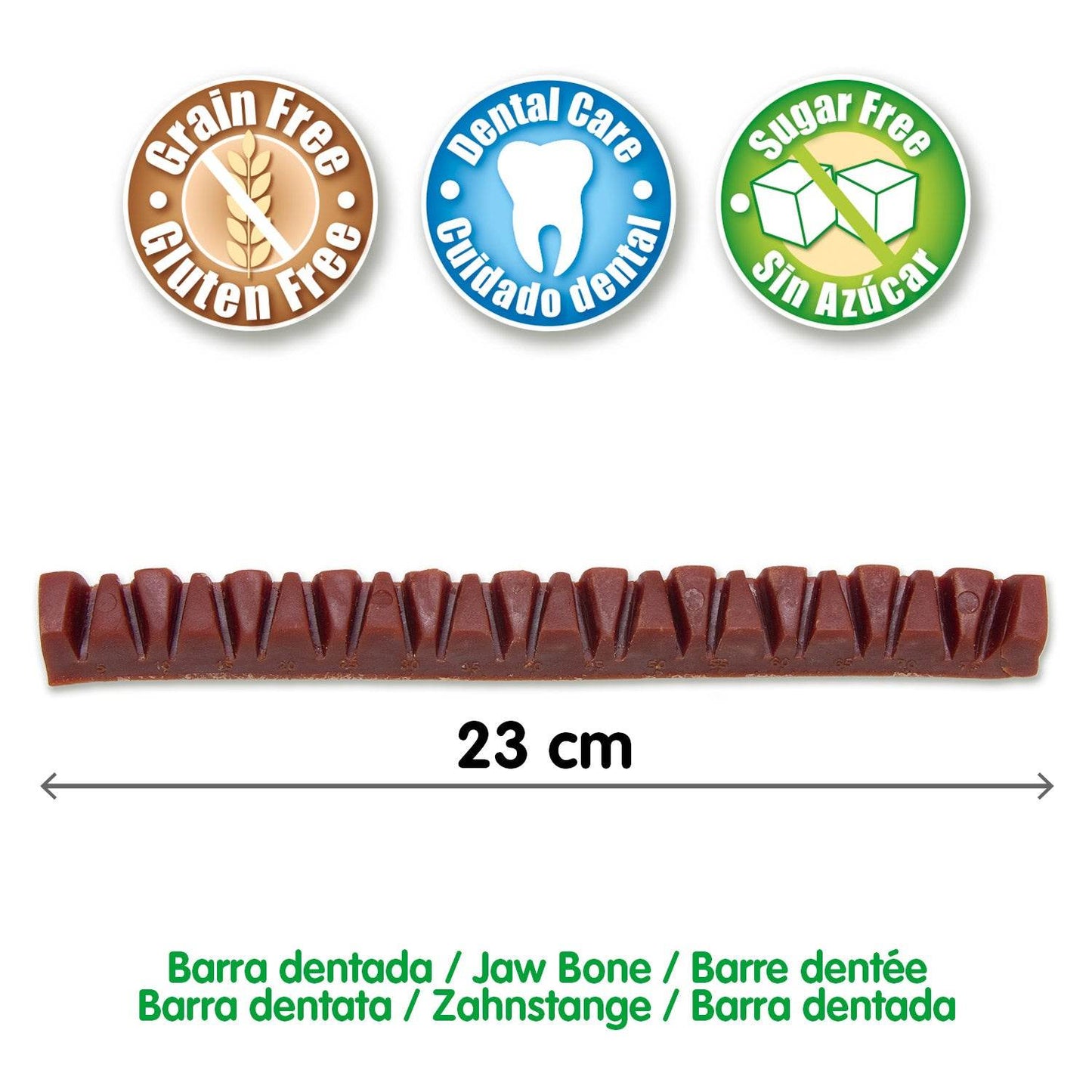 DENTAL TREATS Jaw Bone - Arquivet