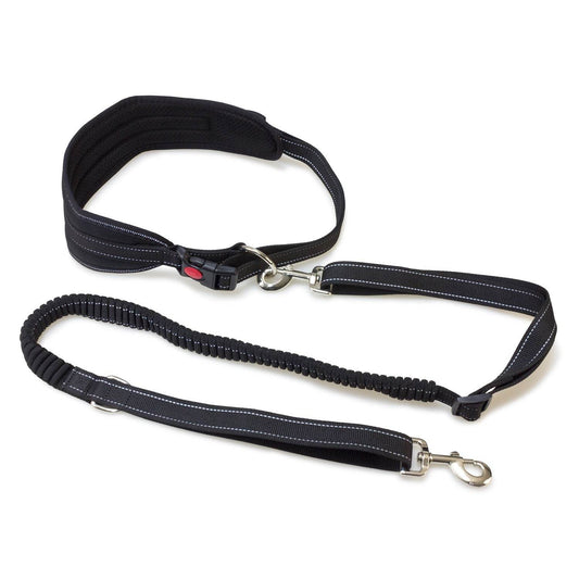 Cintura Canicross con cinturino - Arquivet