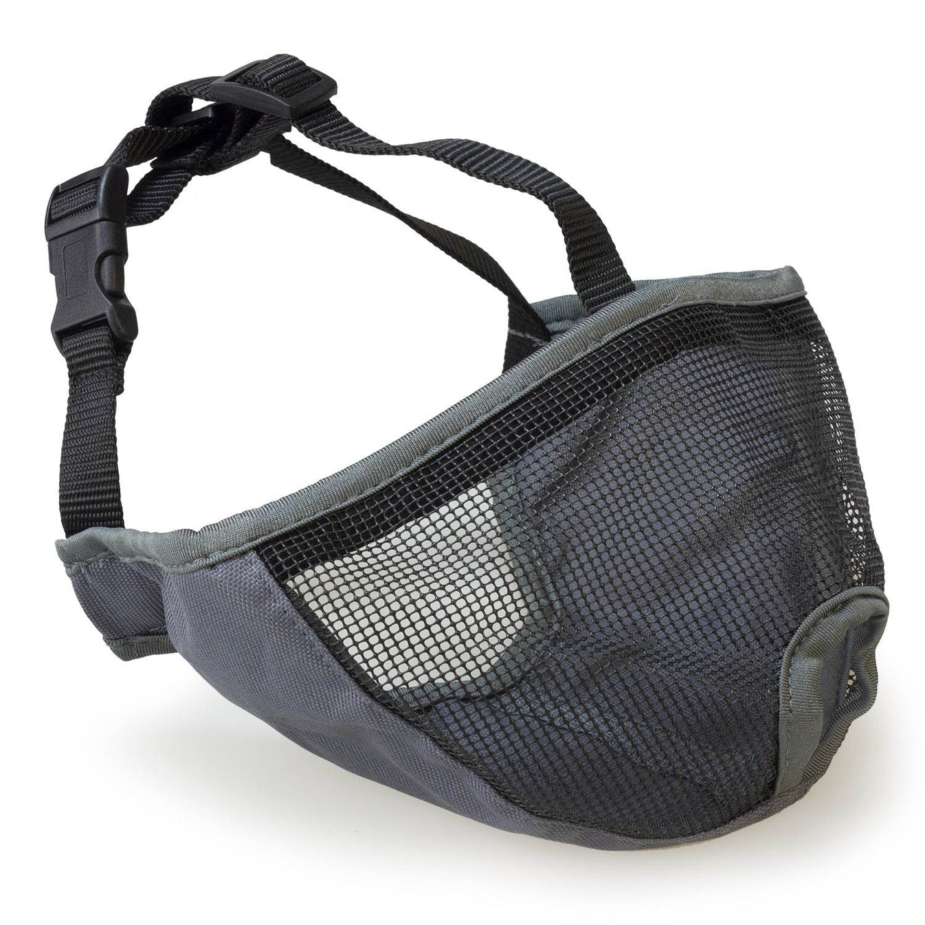 Short snout muzzle - Arquivet
