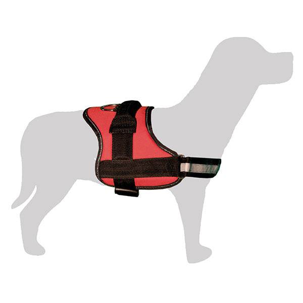 Arnés acolchado para perro - Arquivet