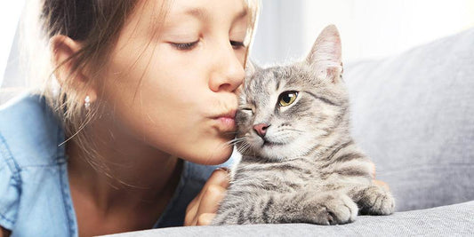 Come capire se un gatto è felice