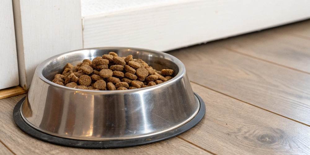 Do que é feita a comida para cães?