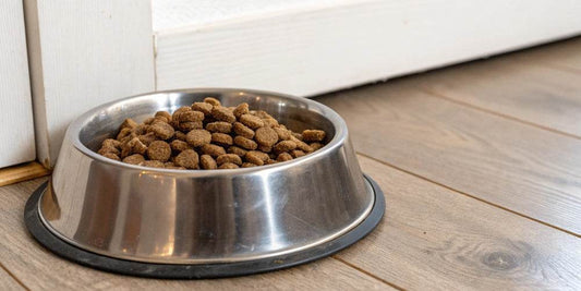 ¿De qué está hecho el pienso para perros?