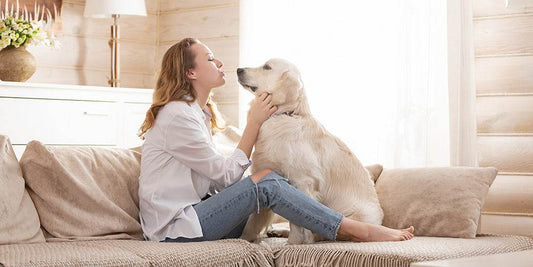 Pienso para perros sin dientes: recomendaciones para escoger el más adecuado