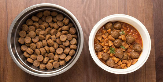 Comida húmeda para perros ¿Es mejor o peor que el pienso?