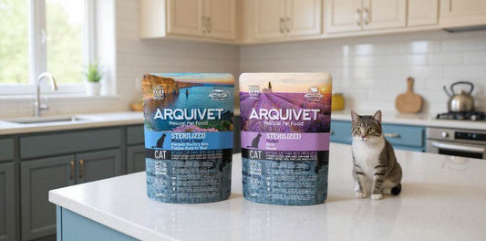 Presentamos el pienso para gatos en doypack de 350g