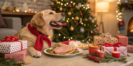 Cuidado con los Alimentos Prohibidos para Perros en Navidad: Protegiendo a tu Compañero Peludo