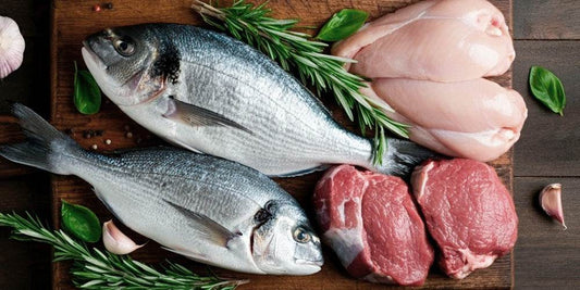 Alimento semihúmedo para perros