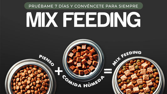 Todo lo que debes saber sobre el Mix Feeding para tu perro