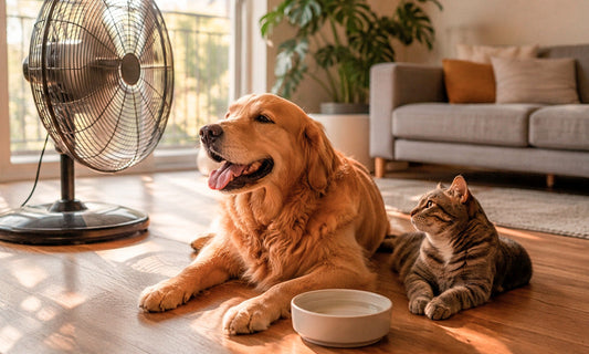 Golpe de calor en perros y Gatos