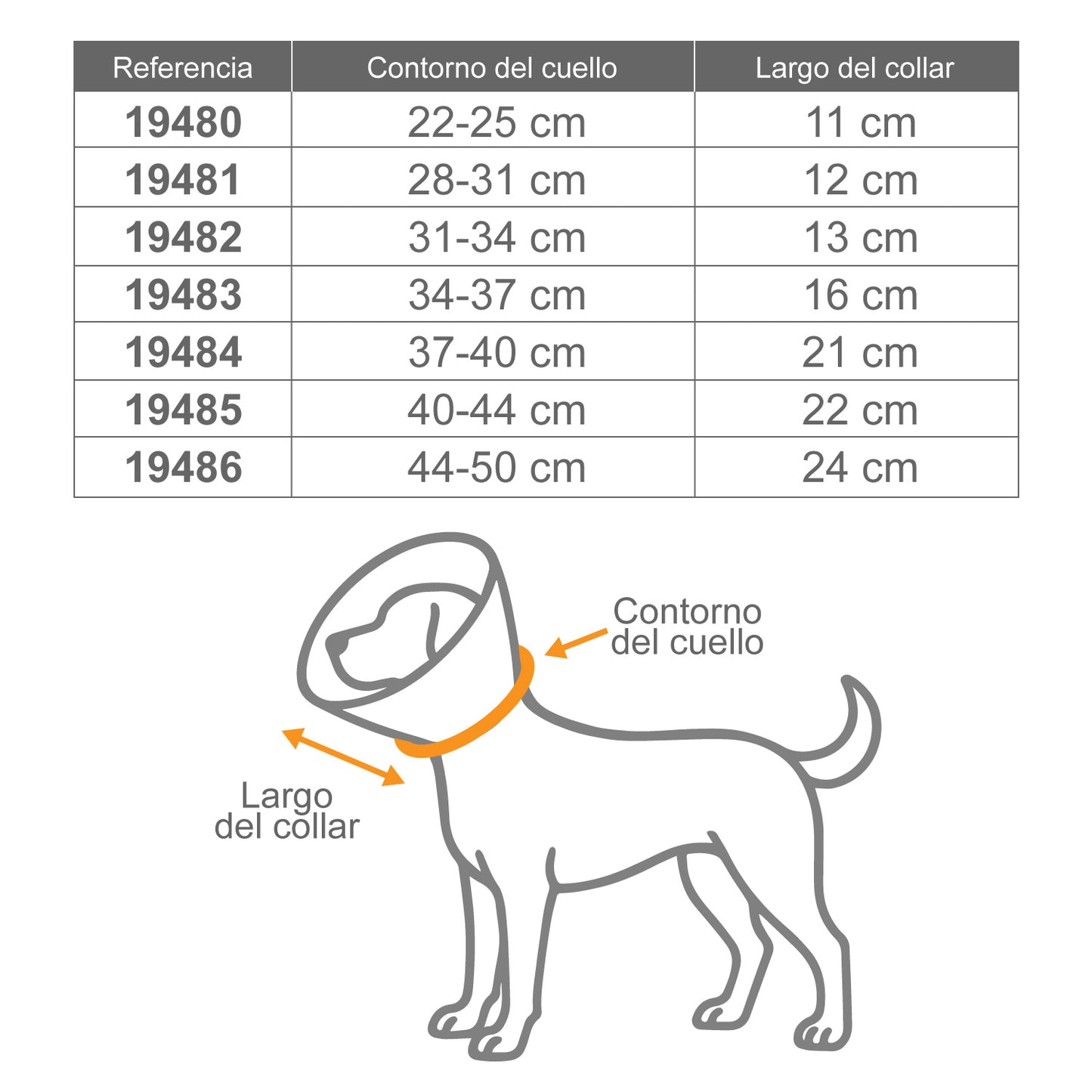 Collar Isabelino o Veterinario - 7 medidas