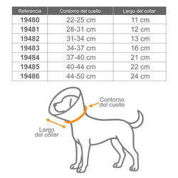 Collar Isabelino o Veterinario - 7 medidas