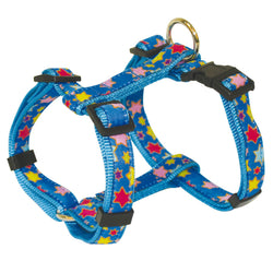 Petral STAR WINS - Arquivet