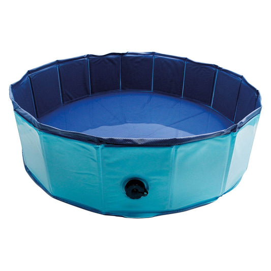 Piscina para perros - Arquivet
