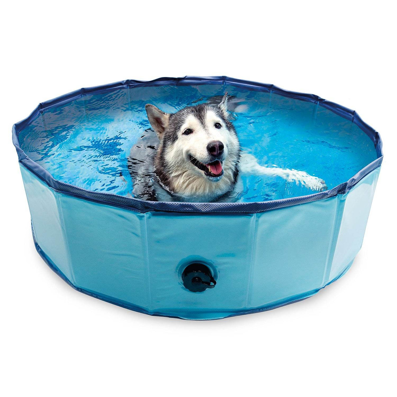 Piscina para perros - Arquivet