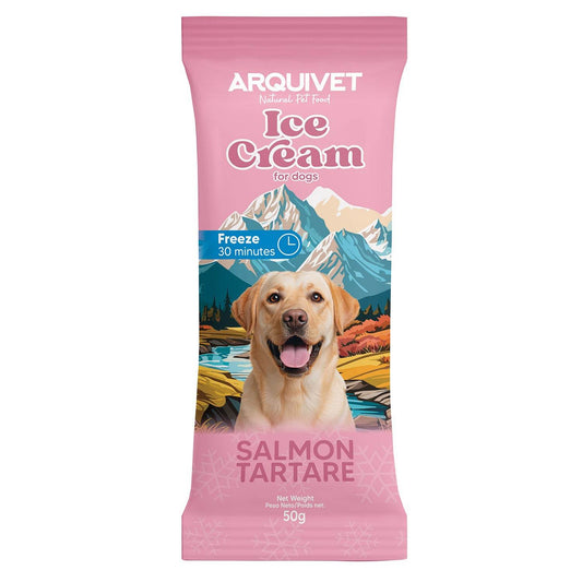 Ice Cream / Helado de Tartar de Salmón - Arquivet