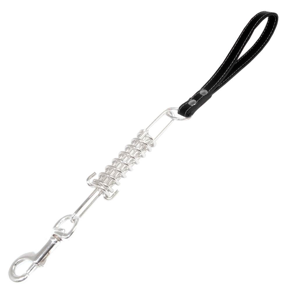 Metal strap with spring