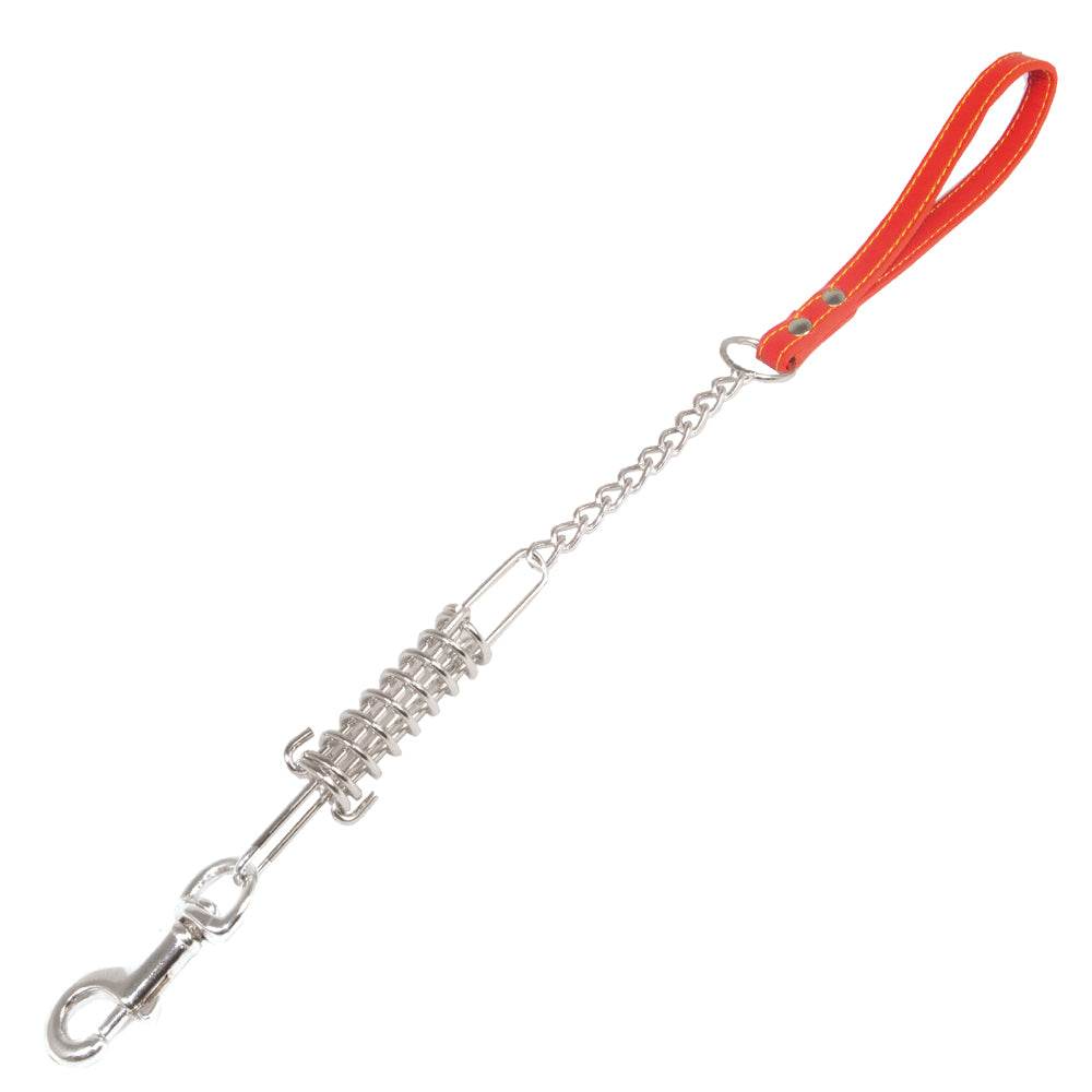 Correa de metal con muelle - Arquivet